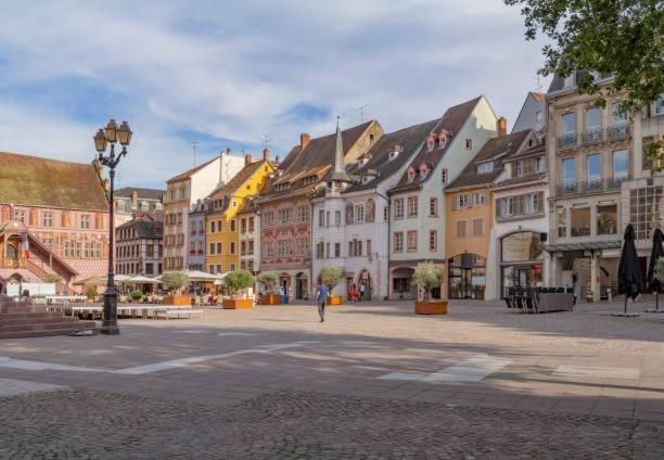 Apartament Ancien Mulhouse 101 Zewnętrze zdjęcie