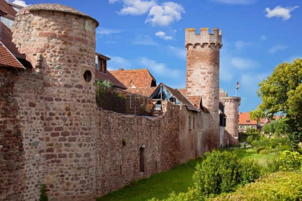 Apartament Ancien Mulhouse 101 Zewnętrze zdjęcie